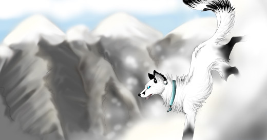 736998 (a): :3543x1857